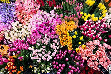 数据挖掘者认为已经掌握《铁拳8》DLC角色线索